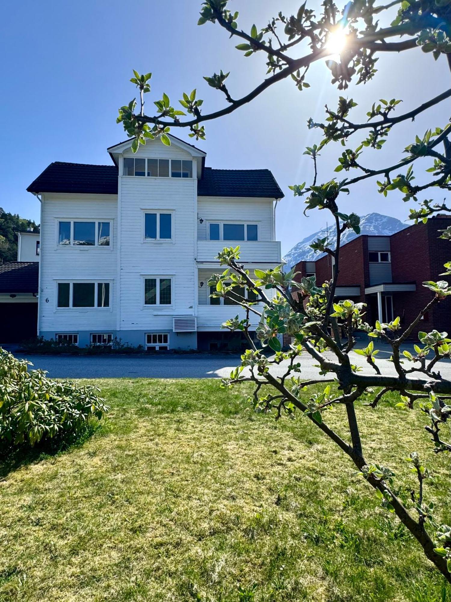 Villa Utsikten Venjetind Åndalsnes Extérieur photo